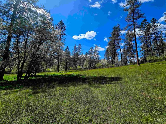 115 Weedmark Way, Kamiah, ID 83536