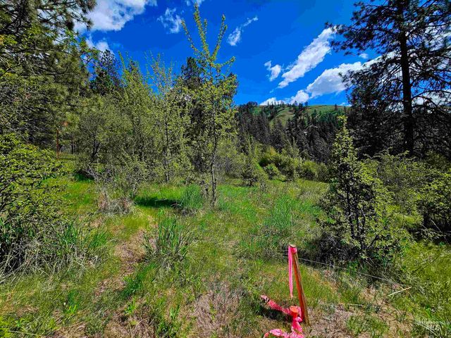 115 Weedmark Way, Kamiah, ID 83536