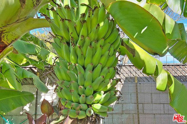 12467 Beatrice Street, Los Angeles, CA 90066