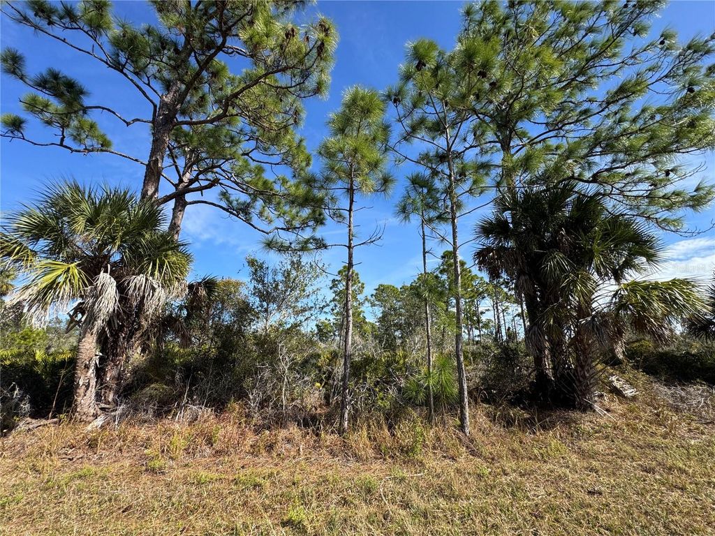 Image 3 of property listing at 3110 GILLOT BOULEVARD, Port Charlotte, FL 33981