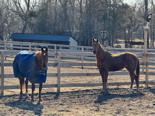 708 S Rose Farm Road, Woodstock, IL 60098