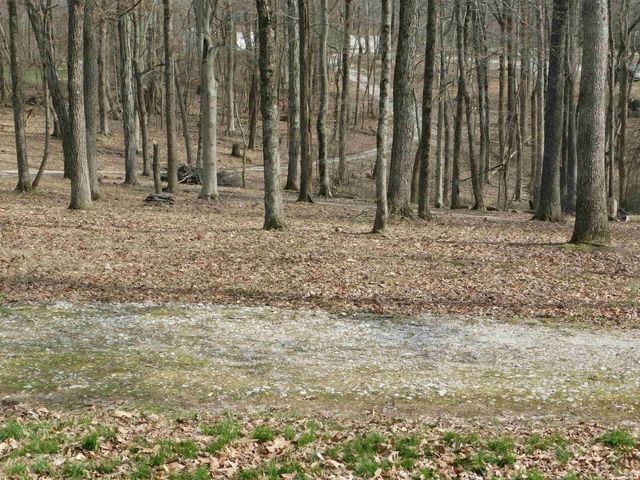 11087 S Trinity Lane, Pekin, IN 47165