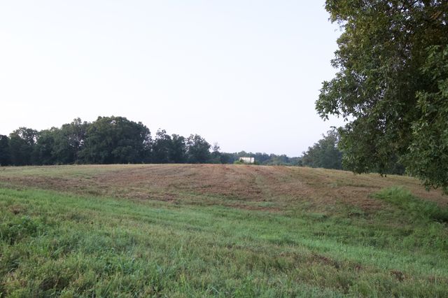3393 Slayden Marion Rd, Cumberland Furnace, TN 37051