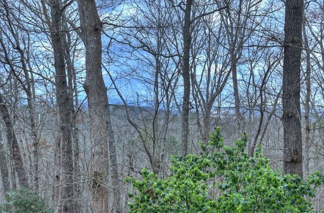 788 Lake Forest Drive, Blue Ridge, GA 30513