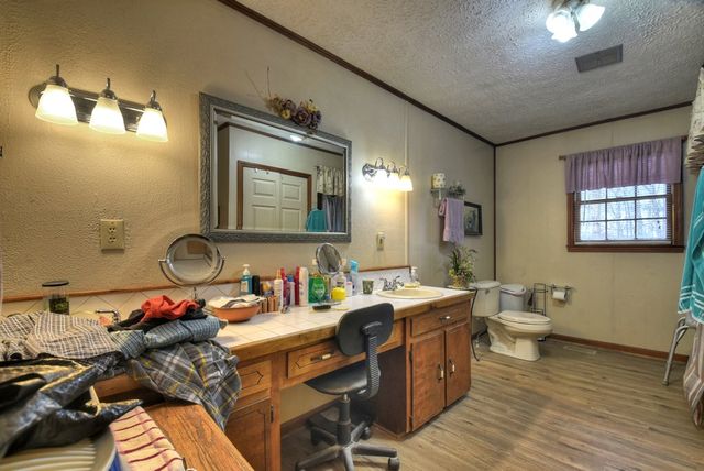 788 Lake Forest Drive, Blue Ridge, GA 30513