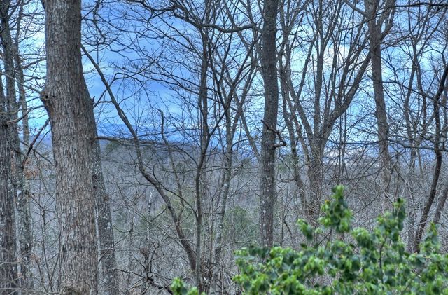 788 Lake Forest Drive, Blue Ridge, GA 30513