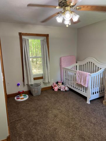9462 E Colby Road, Crystal Twp, MI 48818