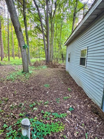 9462 E Colby Road, Crystal Twp, MI 48818