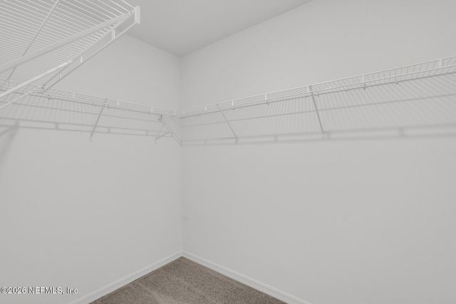 3242 MISSION OAK Place, Green Cove Springs, FL 32043