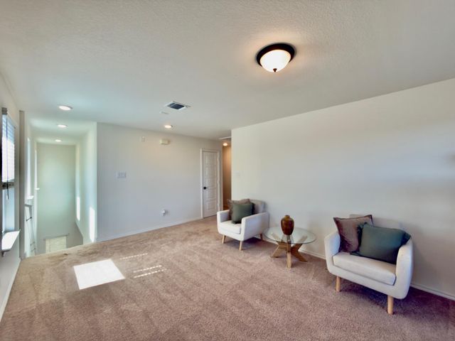 13304 Nancy Reagan ST, Manor, TX 78653