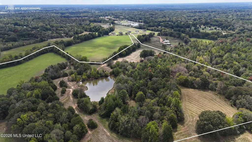 58 Rowell Road, Coldwater, MS 38618 — photo 2