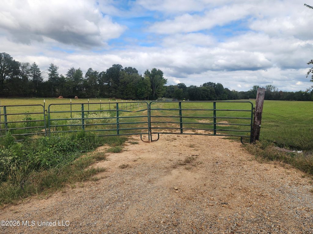 58 Rowell Road, Coldwater, MS 38618 — photo 3