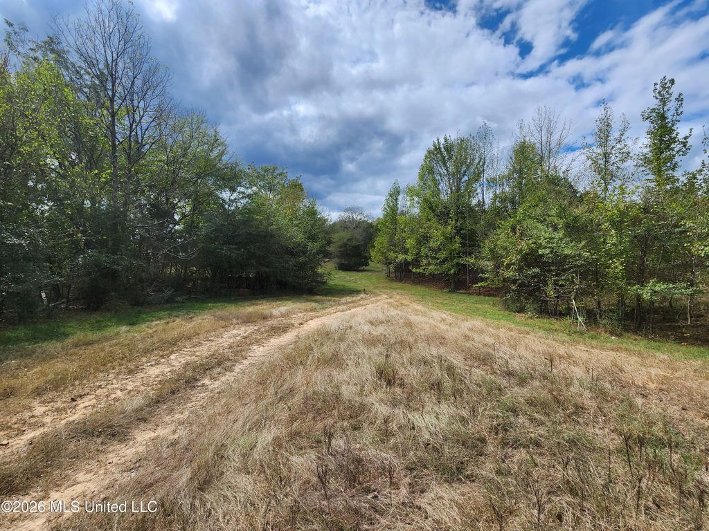 58 Rowell Road, Coldwater, MS 38618 — photo 4