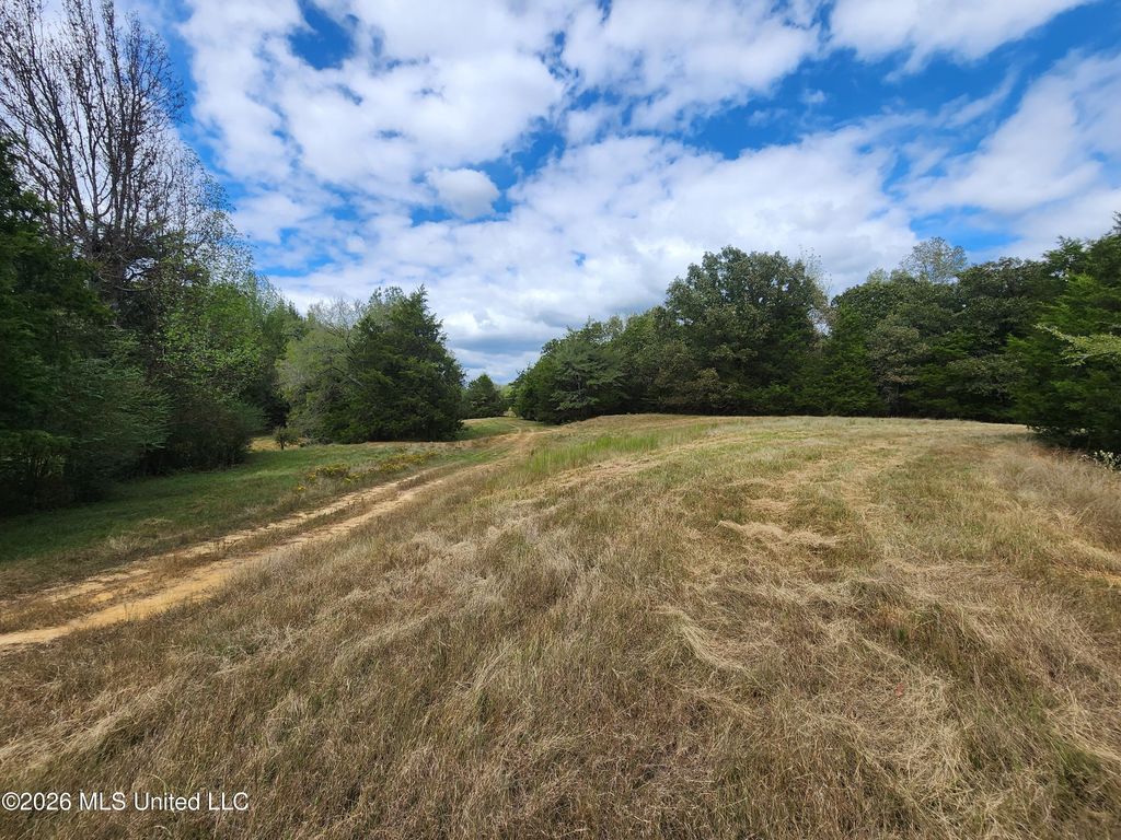 58 Rowell Road, Coldwater, MS 38618 — photo 5
