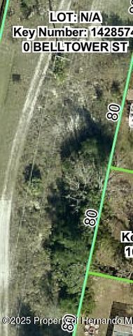0 Belltower, Spring Hill, FL 34608