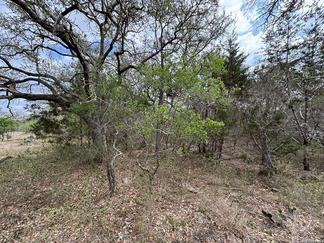 122 Laurel Wood, New Braunfels, TX 78132