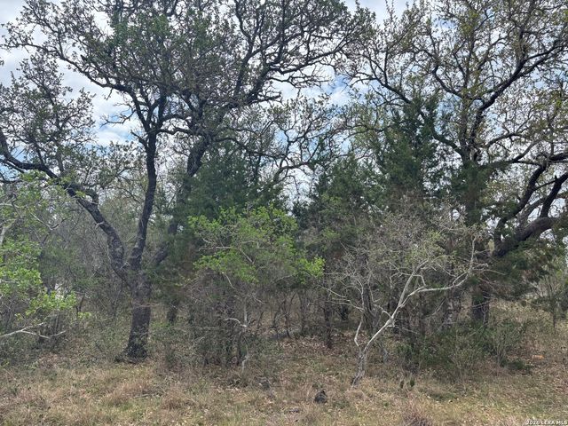 122 Laurel Wood, New Braunfels, TX 78132