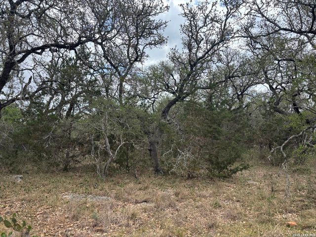 122 Laurel Wood, New Braunfels, TX 78132