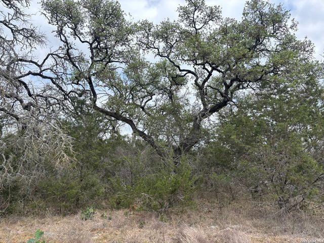 122 Laurel Wood, New Braunfels, TX 78132