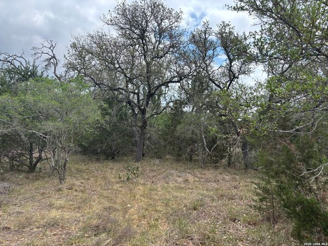 122 Laurel Wood, New Braunfels, TX 78132