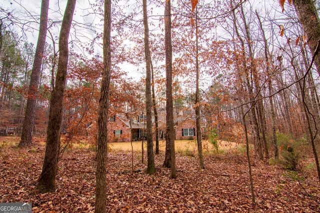 3337 Lower Blue Springs Road, Hamilton, GA 31811