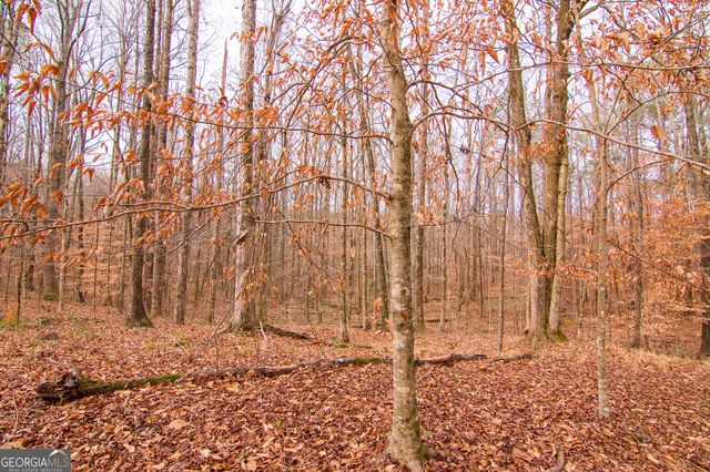 3337 Lower Blue Springs Road, Hamilton, GA 31811