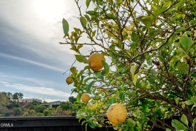 1020 Via Cielito, Ventura, CA 93003