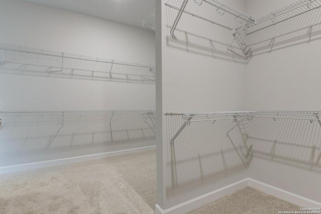 12919 Horseback Pl, Schertz, TX 78154