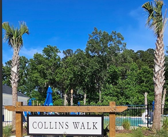1208 Blueback Herring Way, Conway, SC 29526