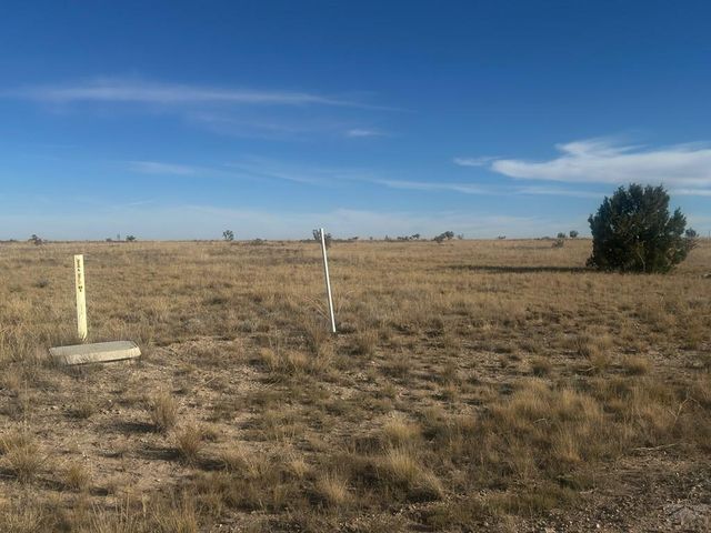 lot 11 Cedarwood Station, Rye, CO 81004