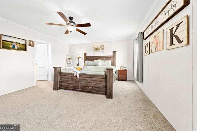 655 Lowe Road, Comer, GA 30629