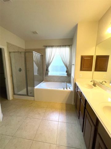 20815 N Blue Hyacinth Drive, Cypress, TX 77433