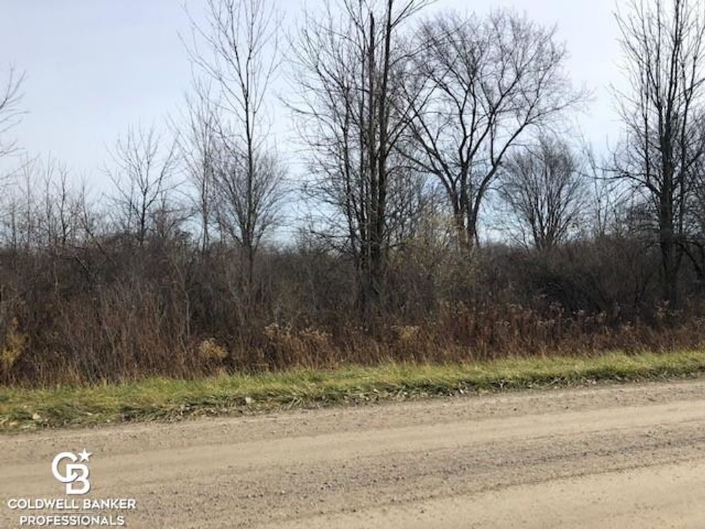 00 Cowhy Rd. Parcel "b" Road, Memphis, MI 48041