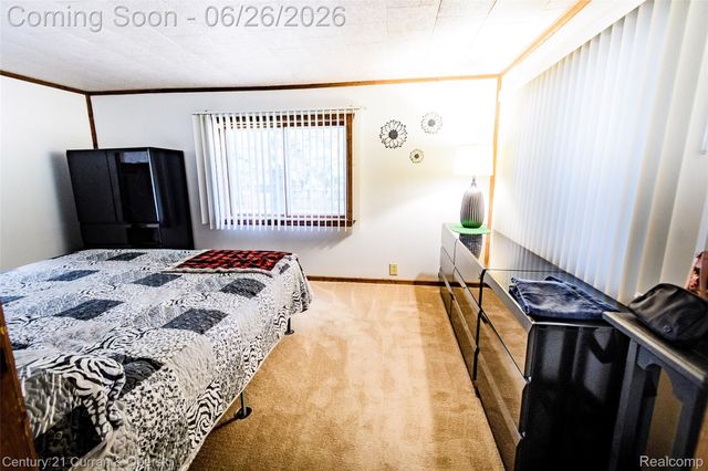 3270 Woods Road, Hayes Township, MI 48625