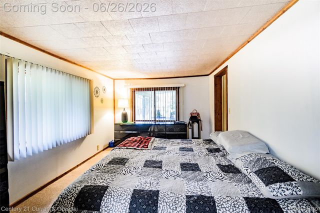 3270 Woods Road, Hayes Township, MI 48625