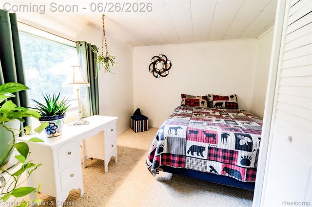 3270 Woods Road, Hayes Township, MI 48625