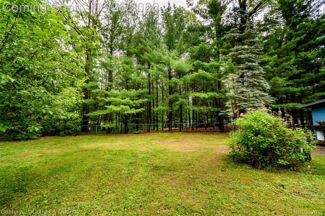 3270 Woods Road, Hayes Township, MI 48625