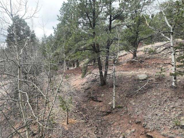 255 Pinon Lane, Florissant, CO 80816