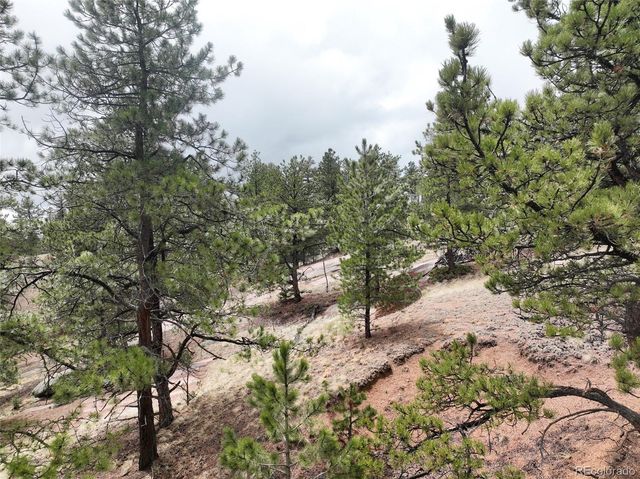 255 Pinon Lane, Florissant, CO 80816