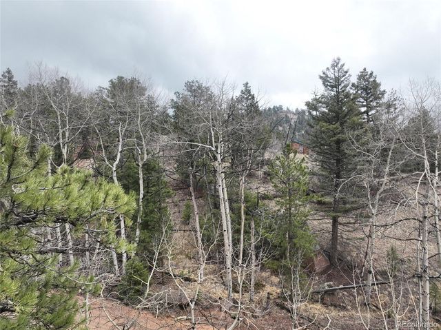 255 Pinon Lane, Florissant, CO 80816