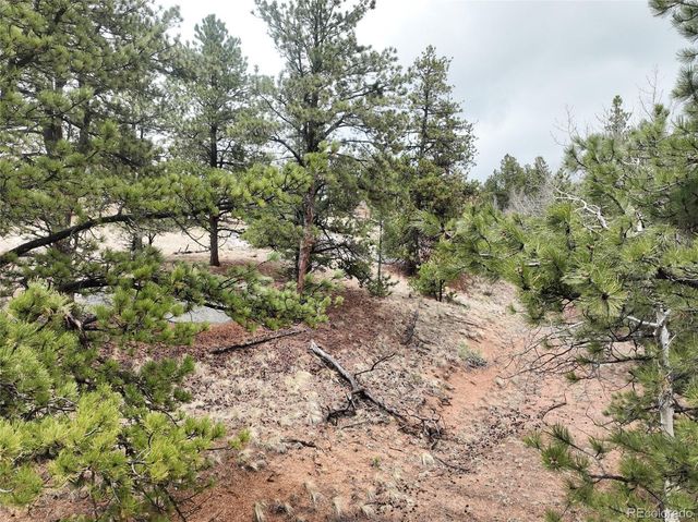 255 Pinon Lane, Florissant, CO 80816