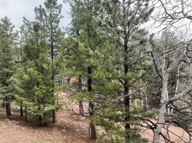 255 Pinon Lane, Florissant, CO 80816