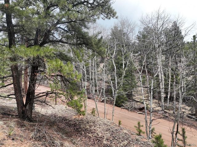 255 Pinon Lane, Florissant, CO 80816