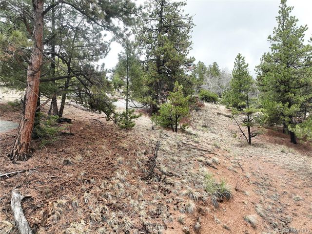 255 Pinon Lane, Florissant, CO 80816