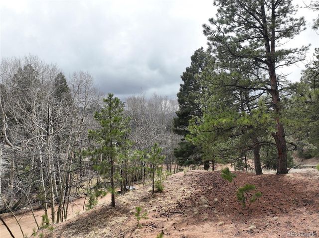 255 Pinon Lane, Florissant, CO 80816
