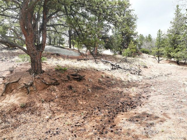 255 Pinon Lane, Florissant, CO 80816