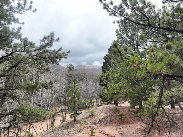 255 Pinon Lane, Florissant, CO 80816