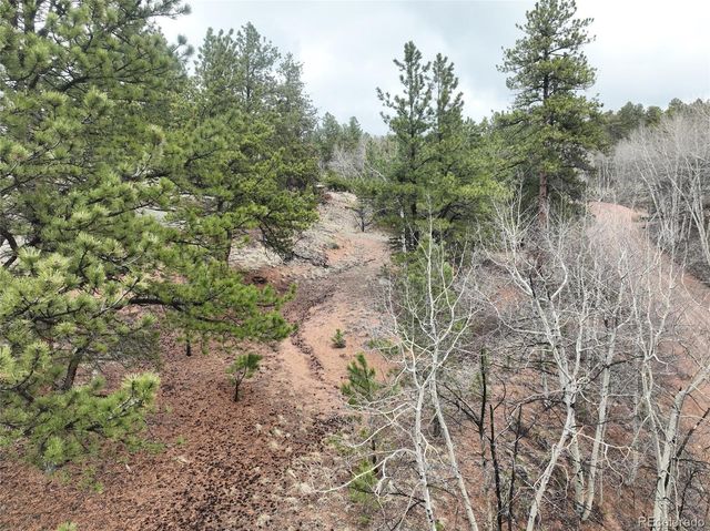 255 Pinon Lane, Florissant, CO 80816