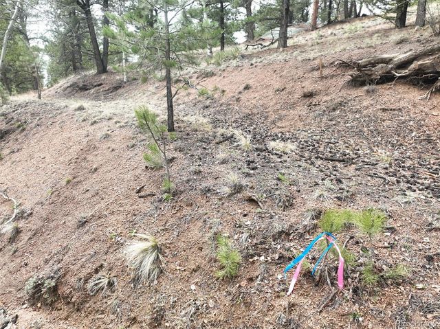 255 Pinon Lane, Florissant, CO 80816