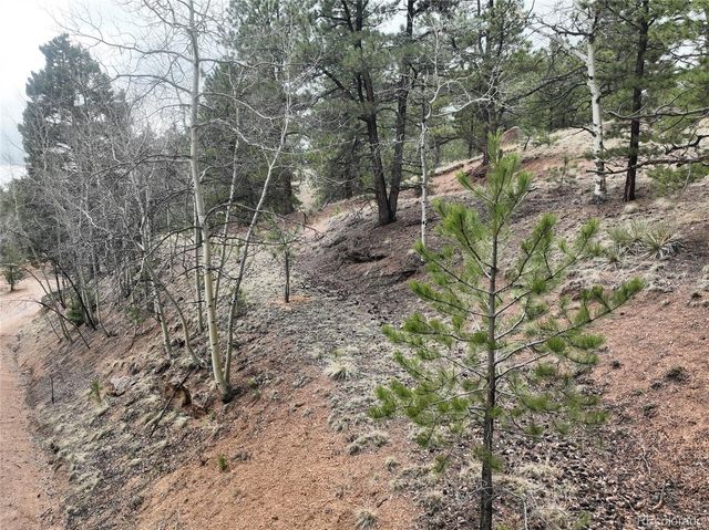 255 Pinon Lane, Florissant, CO 80816